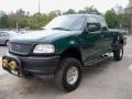 2000 Amazon Green Metallic Ford F150 XL Extended Cab  photo #3