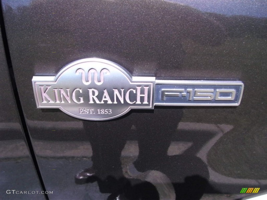 2005 F150 King Ranch SuperCrew 4x4 - Dark Stone Metallic / Castano Brown Leather photo #6
