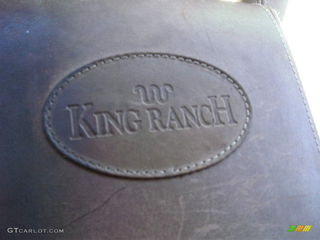 2005 F150 King Ranch SuperCrew 4x4 - Dark Stone Metallic / Castano Brown Leather photo #20