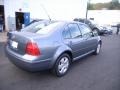 Platinum Grey Metallic - Jetta GLS Sedan Photo No. 5