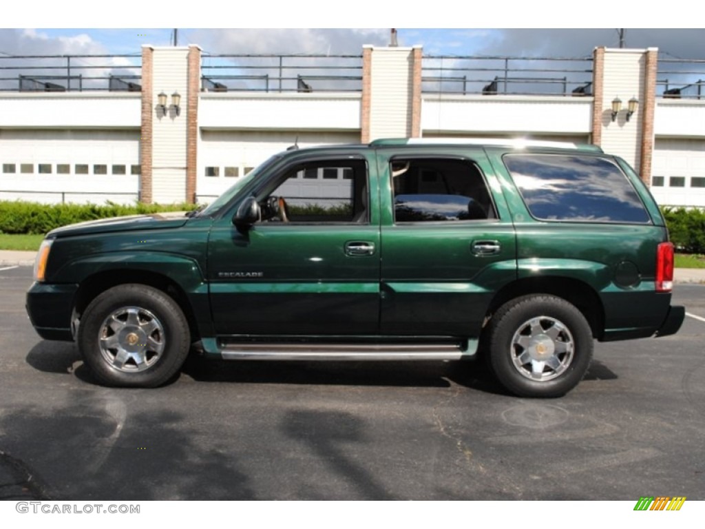 2003 Escalade AWD - Green Envy / Shale photo #3