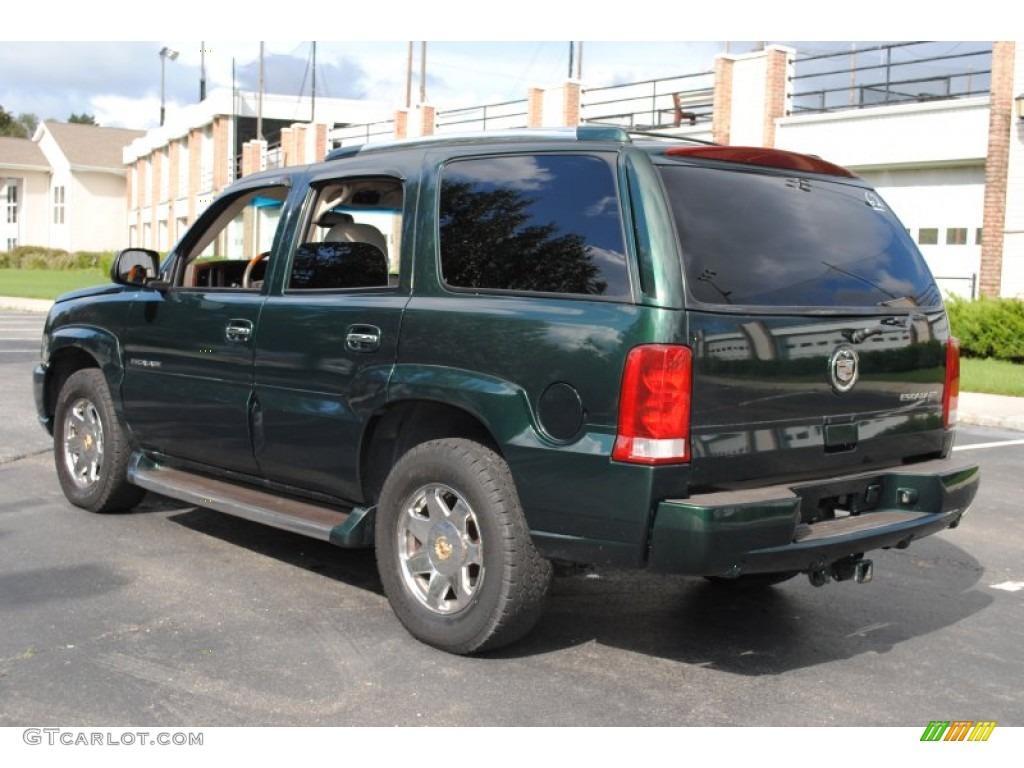 2003 Escalade AWD - Green Envy / Shale photo #4