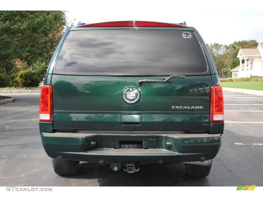 2003 Escalade AWD - Green Envy / Shale photo #5