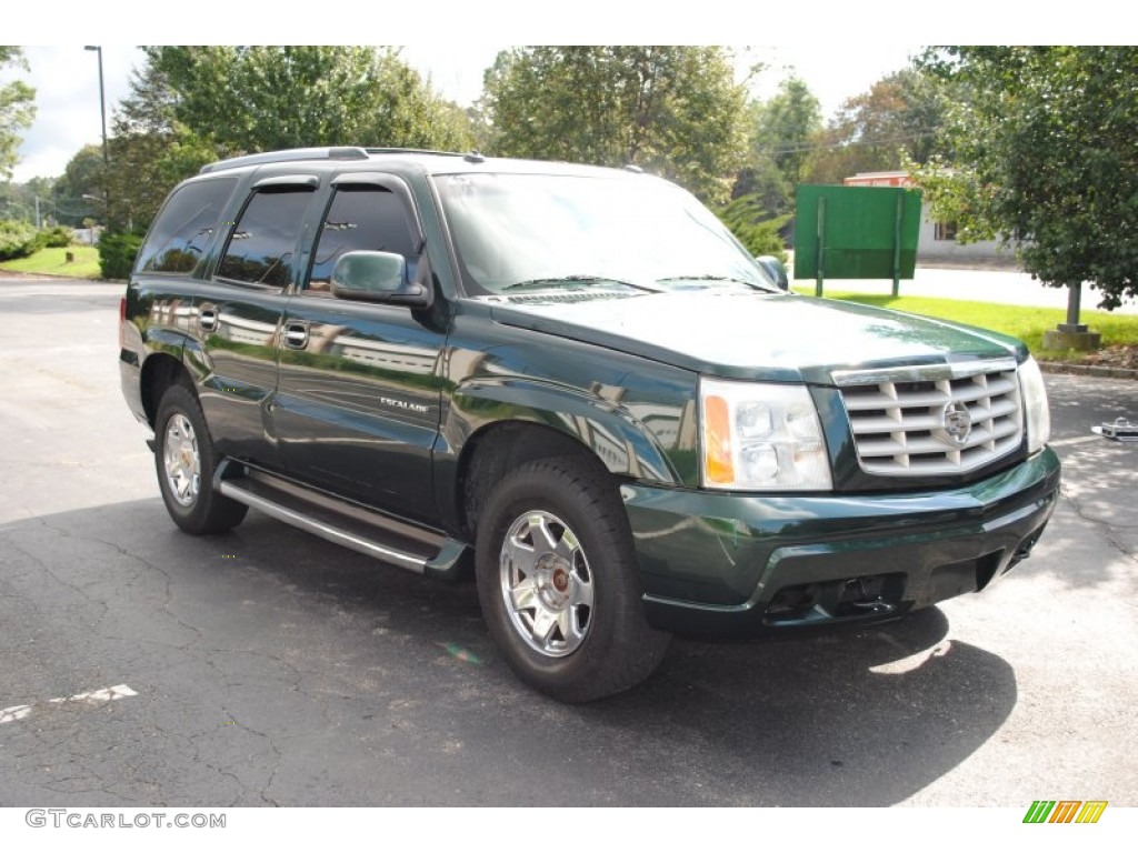 2003 Escalade AWD - Green Envy / Shale photo #7