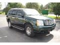 Green Envy - Escalade AWD Photo No. 7