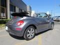 Platinum Grey - New Beetle 2.5 Convertible Photo No. 4