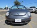 Platinum Grey - New Beetle 2.5 Convertible Photo No. 7