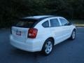 Stone White - Caliber SXT Photo No. 3