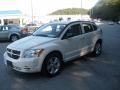 Stone White - Caliber SXT Photo No. 13