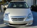 Silver Pearl Metallic - Odyssey Touring Photo No. 4