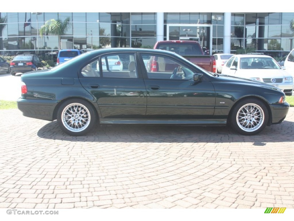 Oxford Green Metallic 2002 BMW 5 Series 530i Sedan Exterior Photo #54870145