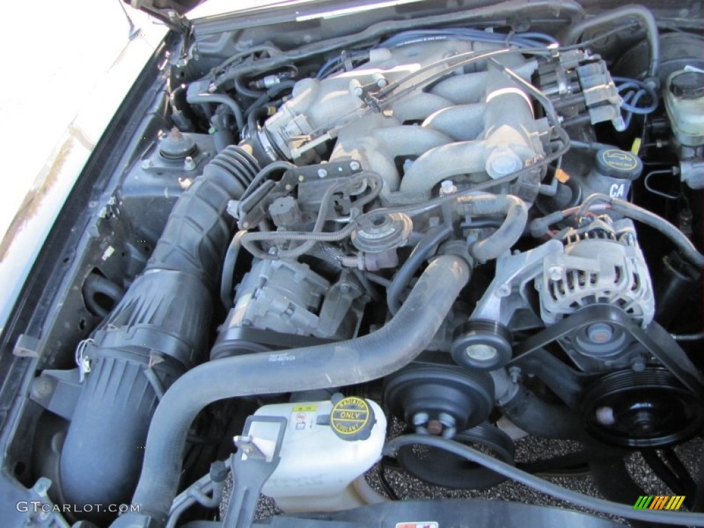 2004 Mustang V6 Convertible - Black / Medium Parchment photo #11