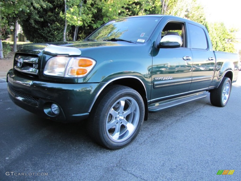 2004 Tundra SR5 Double Cab - Imperial Jade Mica / Oak photo #1