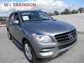Palladium Silver Metallic - ML 350 4Matic Photo No. 1