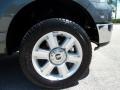 Silver Metallic - F150 XLT SuperCrew Photo No. 3