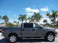 Silver Metallic - F150 XLT SuperCrew Photo No. 5