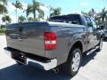 Silver Metallic - F150 XLT SuperCrew Photo No. 6