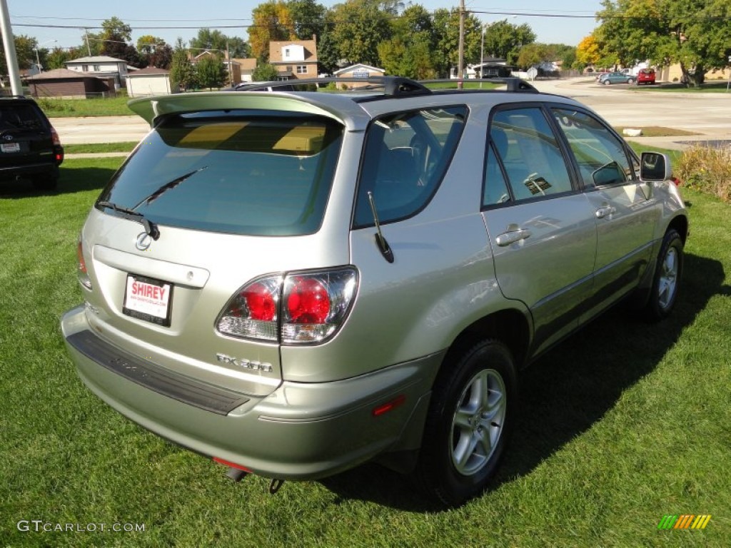 2003 RX 300 AWD - Black Onyx / Black photo #4