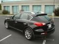 2008 Black Obsidian Infiniti EX 35 Journey  photo #5