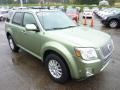 Front 3/4 View of 2010 Mariner I4 Premier 4WD