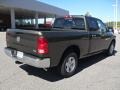 2012 Sagebrush Pearl Dodge Ram 1500 SLT Quad Cab  photo #4