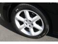 Onyx Black - Maxima 3.5 SE Photo No. 18