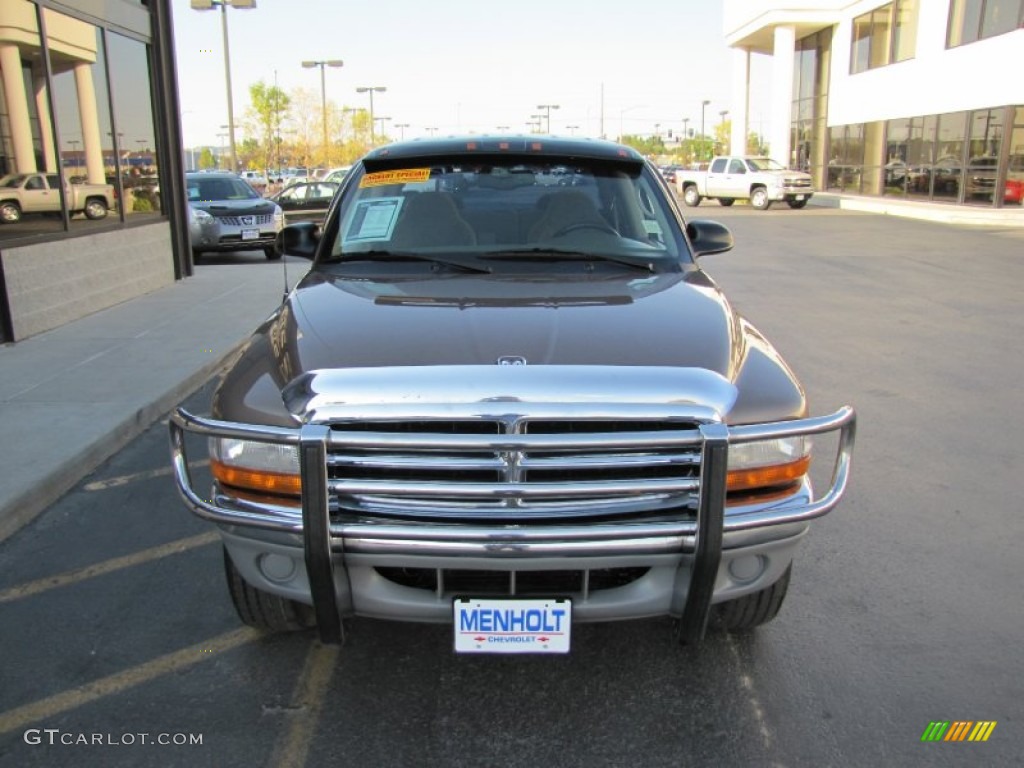 2001 Dakota SLT Quad Cab 4x4 - Medium Bronze Pearl / Taupe photo #25