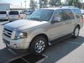 2009 Vapor Silver Metallic Ford Expedition Limited 4x4  photo #2