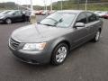 Willow Gray - Sonata GLS Photo No. 3