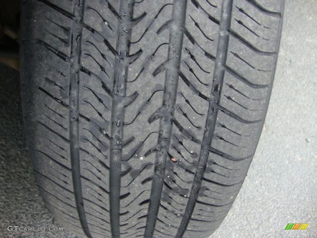 2006 Grand Marquis LS - Silver Birch Metallic / Medium Light Stone photo #30