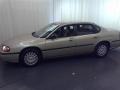 Sandstone Metallic - Impala  Photo No. 16