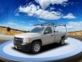 2009 Silver Birch Metallic Chevrolet Silverado 1500 Regular Cab  photo #1