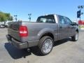 Dark Shadow Grey Metallic - F150 XLT SuperCrew Photo No. 7