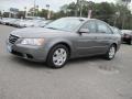 Willow Gray - Sonata GLS Photo No. 1