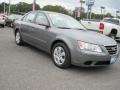 Willow Gray - Sonata GLS Photo No. 4