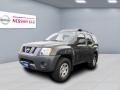 Night Armor Black Metallic 2007 Nissan Xterra X 4x4