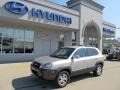 Sahara Silver - Tucson GLS V6 4x4 Photo No. 1
