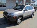 Sahara Silver - Tucson GLS V6 4x4 Photo No. 2