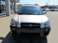 Sahara Silver - Tucson GLS V6 4x4 Photo No. 11