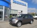 Urban Titanium Metallic - CR-V SE 4WD Photo No. 1