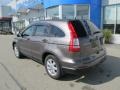 Urban Titanium Metallic - CR-V SE 4WD Photo No. 4