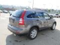 Urban Titanium Metallic - CR-V SE 4WD Photo No. 6