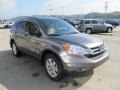 Urban Titanium Metallic - CR-V SE 4WD Photo No. 8
