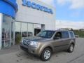 2010 Mocha Metallic Honda Pilot LX 4WD  photo #1