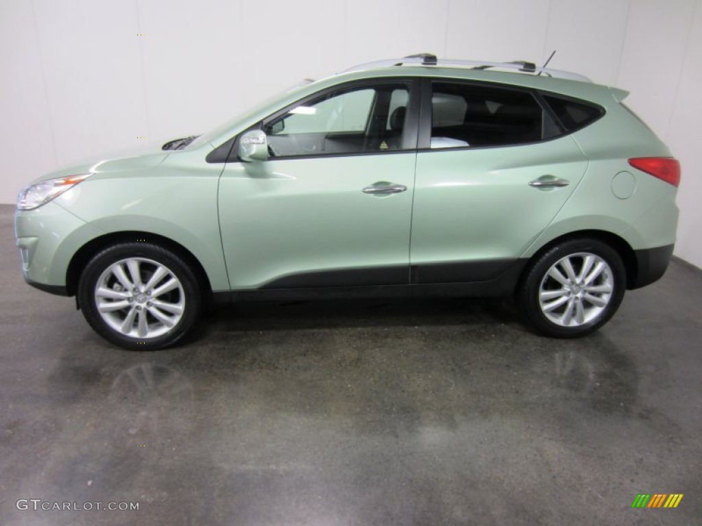 Kiwi Green 2011 Hyundai Tucson GLS AWD Exterior Photo #54933454