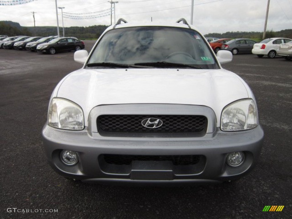 2004 Santa Fe GLS 4WD - Nordic White / Gray photo #2