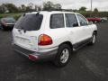 2004 Nordic White Hyundai Santa Fe GLS 4WD  photo #7