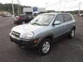 2008 Alpine Frost Hyundai Tucson SE 4WD  photo #3