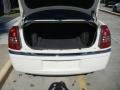 Cool Vanilla - 300 C HEMI Photo No. 4
