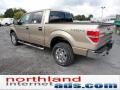 2011 Pale Adobe Metallic Ford F150 XLT SuperCrew 4x4  photo #6